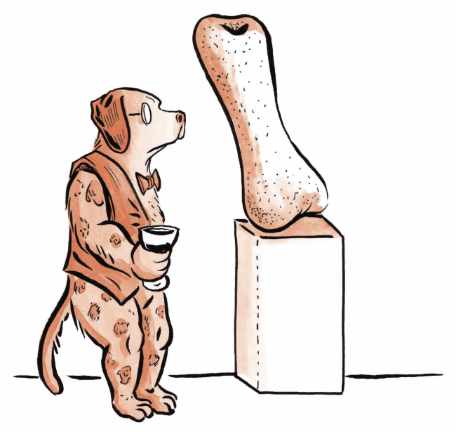 a dog looks at a bone in a museum