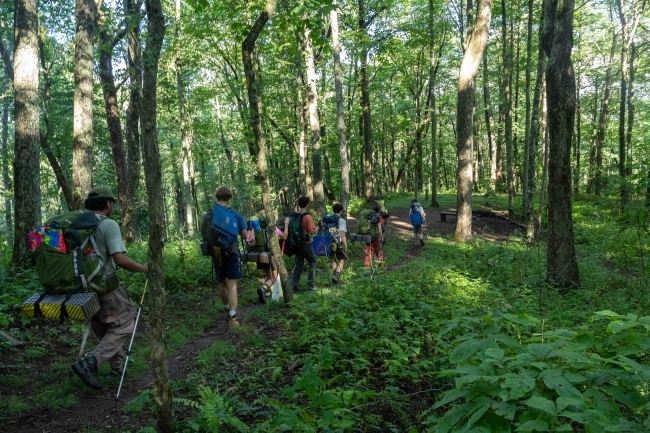 Students hiking in woods during Davidson Outdoors trip