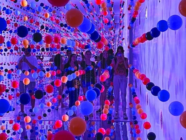 a young woman takes a selfie in an art museum