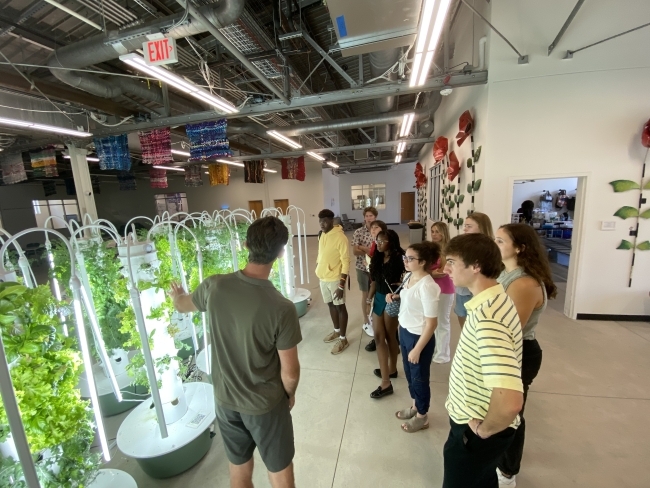 Sustainability Scholars visiting indoor hydroponic lettuce growing