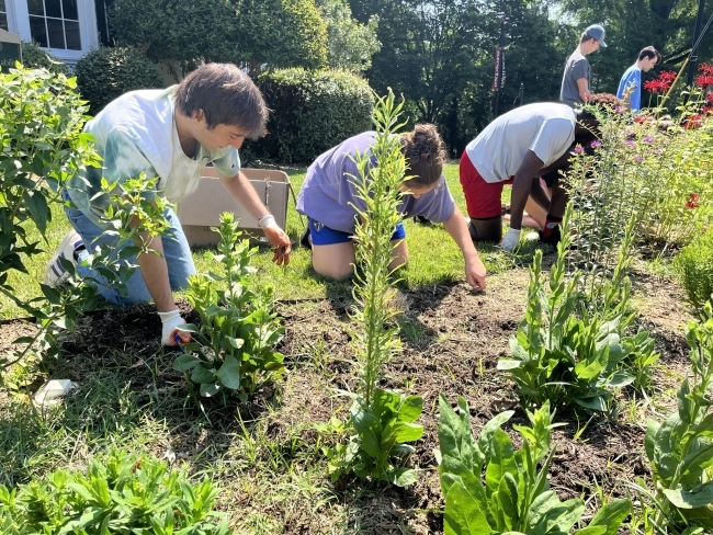 sustainability scholars planting a garden