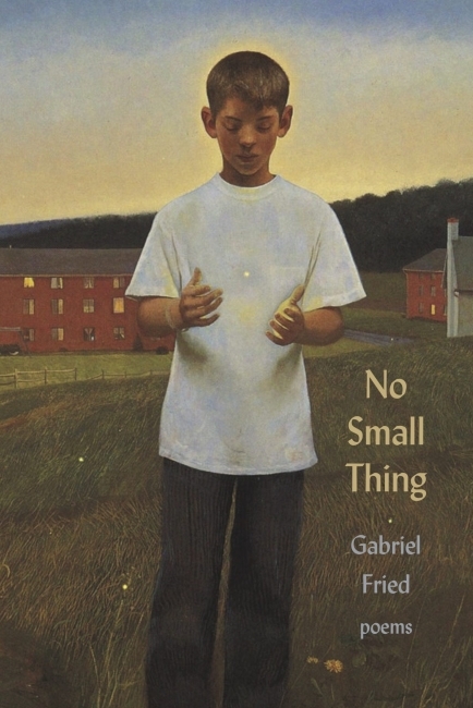 a book cover that reads "No Small Things" of a young man wearing a white shirt