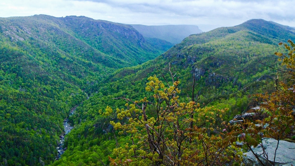Linville Gorge View from Top