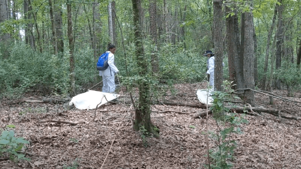 Davidson College Student researchers in Prof. Kevin Smith's class investigating ticks in North Carolina