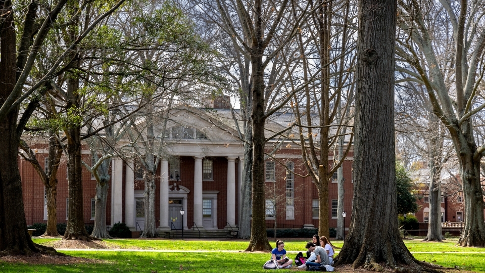 students study under tree on green grass in front of academic building