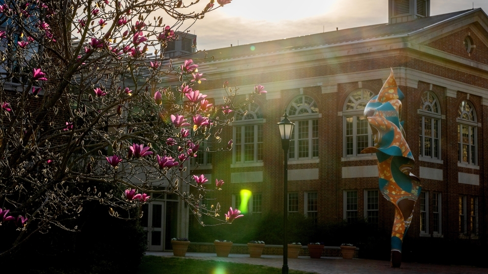 Campus Beauty Shonibare in front of building with sun shining