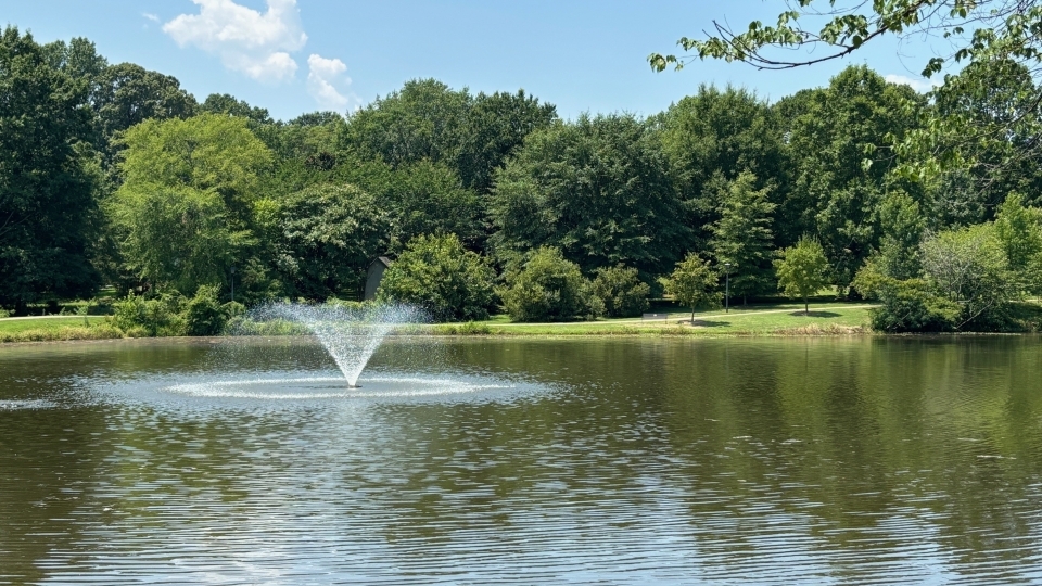 a pond in a park with a fountain