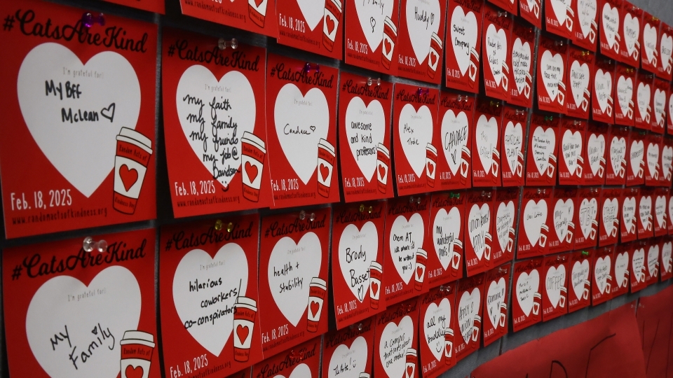 a wall of cards with hearts 