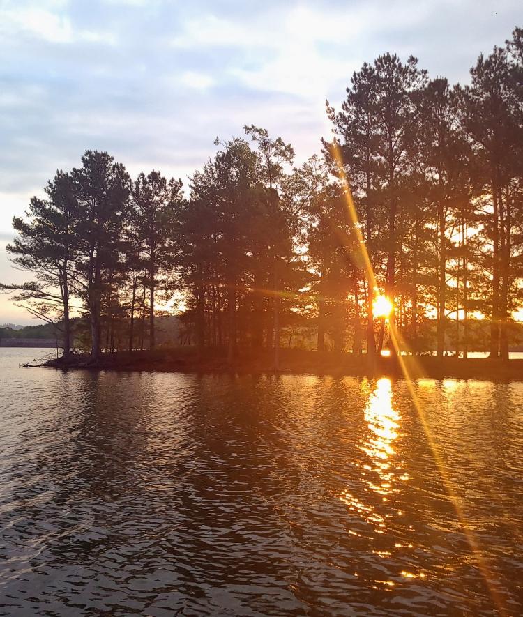 a sunrise over a wooded area around a lake