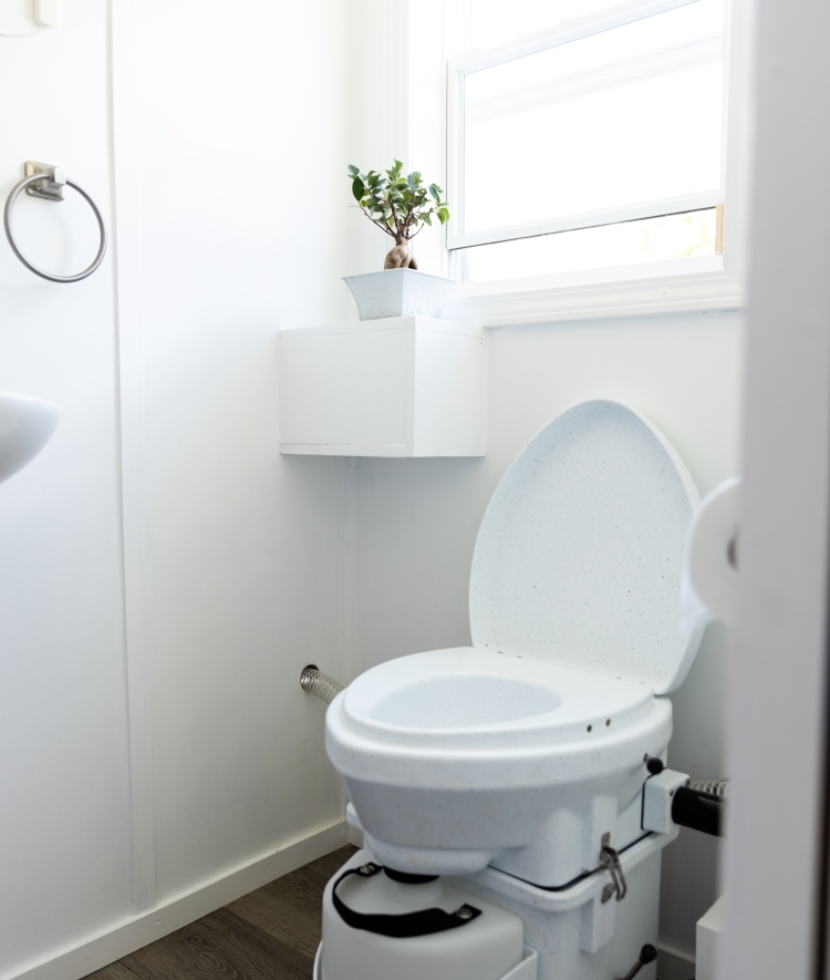 Composting toilet and bonsai tree in window