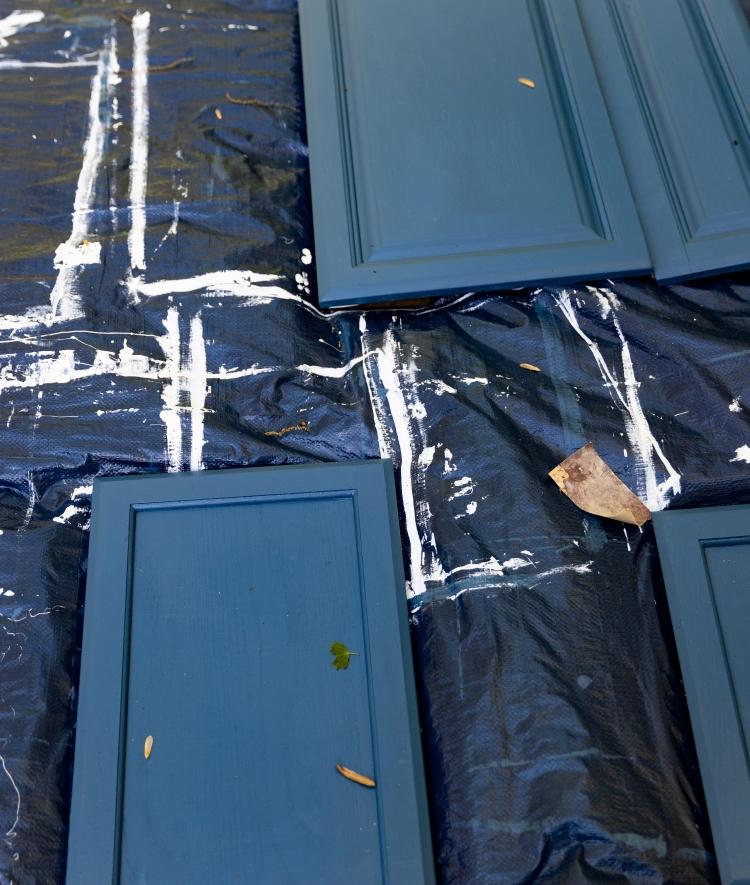 Blue doors drying on tarp