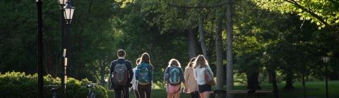a group of students walk down a brick pathway on a sunny day