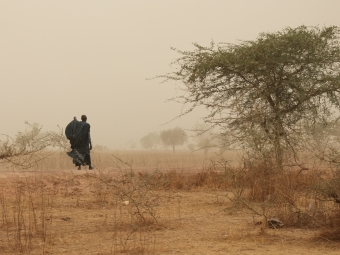 Western Senegal 