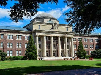 Outside of chamber with grass and blue sky through a tree