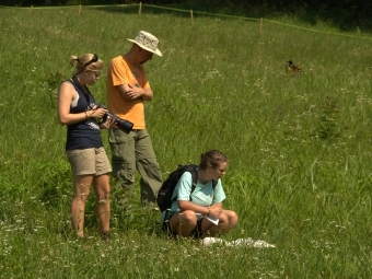 Prof. Paradise Research in the Field