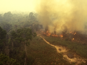 Amazon Rainforest on Fire