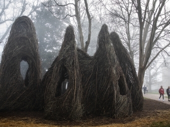 Patrick Dougherty Stick Sculpture on Campus