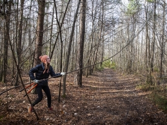 Picking up Sticks for Patrick Dougherty Sculpture