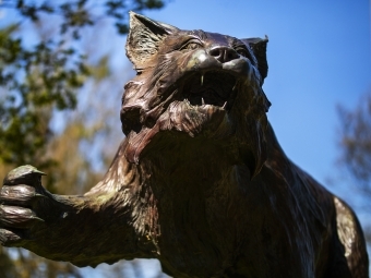 Wildcat Sculpture