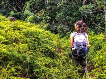 Back of Lydia Soifer as she's Hiking