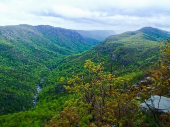 Linville Gorge View from Top
