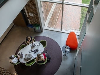 Group of Students Studying in Wall on Laptops