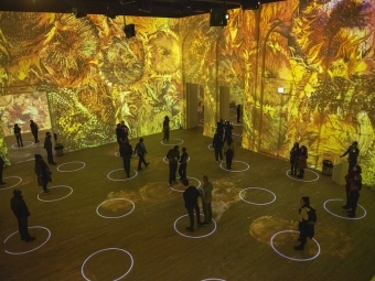 Immersive Van Gogh Exhibit