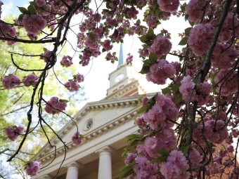 Flowers and Lingle Chapel