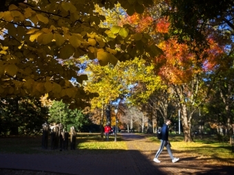 Fall Campus Beauty Students Walking on Path