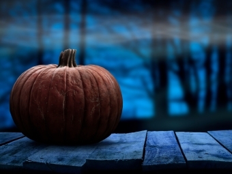 Pumpkin on a wooden porch in the woods