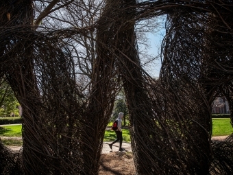 Student walking through Patrick Dougherty sculpture