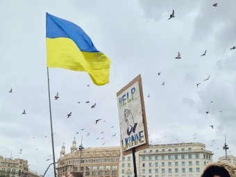 Demonstrators Holding Ukrainian Flags