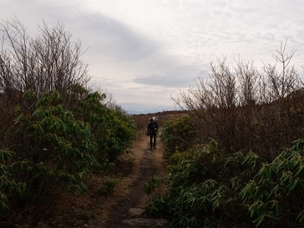 Davidson Outdoors trip leader on the trail of a mountain