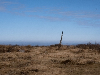 Davidson Outdoors Trip leader photo of a Mountain view