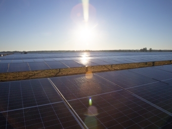 a field of solar panels on a sunny day