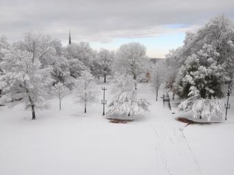 Campus in Snow, Photo By Bill Giduz