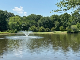 a pond in a park with a fountain