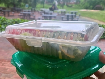 Vail Commons salad in a Green Box to demonstrate the to-go program 