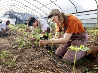 Farm manager Halle shows students how to prune tomato seedlings