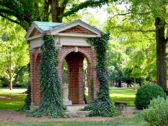 Old Well covered in ivy in front of green trees