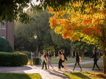 students walk on a brick pathway while fall foliage glows in the background